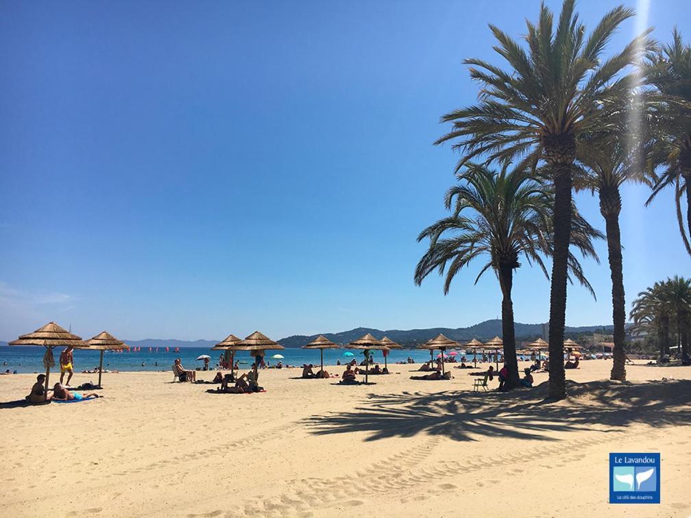 T2 Rue Pietonne Le Lavandou Climatise מראה חיצוני תמונה